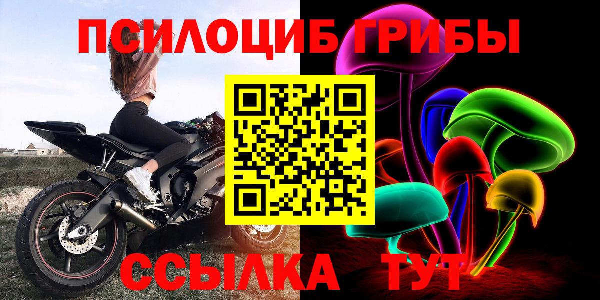 Галлюциногенные грибы Cubensis  Вход с VPN  Заинск 